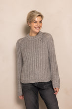 Afbeelding in Gallery-weergave laden, ZHRILL PULLOVER DORA grey
