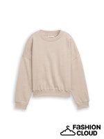 TOM TAILOR DENIM CREWNECK SWEATSHIRT cosy beige melange
