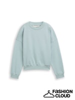 TOM TAILOR DENIM CREWNECK SWEATSHIRT silver cloud blue