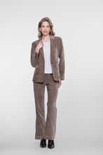 Load image into Gallery viewer, GEISHA PANTS VELOURS taupe
